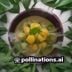 英语教学实践编辑，有丰富备考辅导经验的教师头像